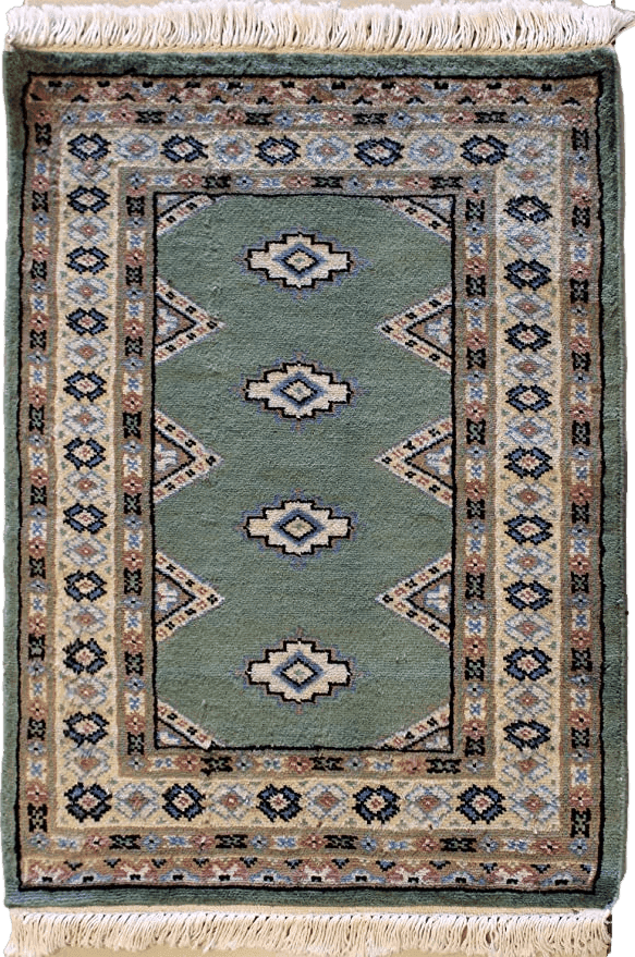 Geometric Green RugsTC 2′0 x 2′10 Bokhara Jaldar Area Rug with Wool Pile