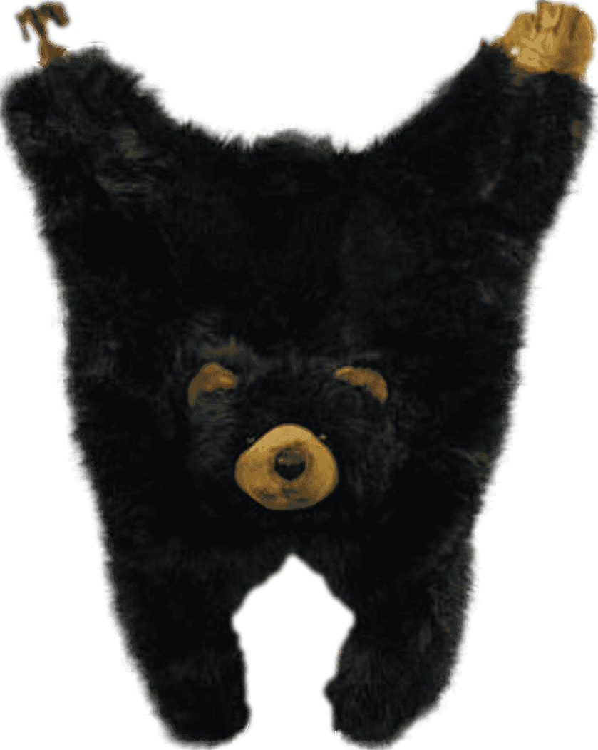 Soft and Cuddly Cute Black Bear Floor Throw Area Rug (Great Kids Rug) 42"