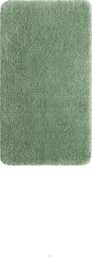 YIHOUSE Thick Microfiber Bathroom Rug Soft Bath Mat for Bathroom Machine Washable Non Slip Absorbent Shower Carpet Rug 17" X 24" Light Green