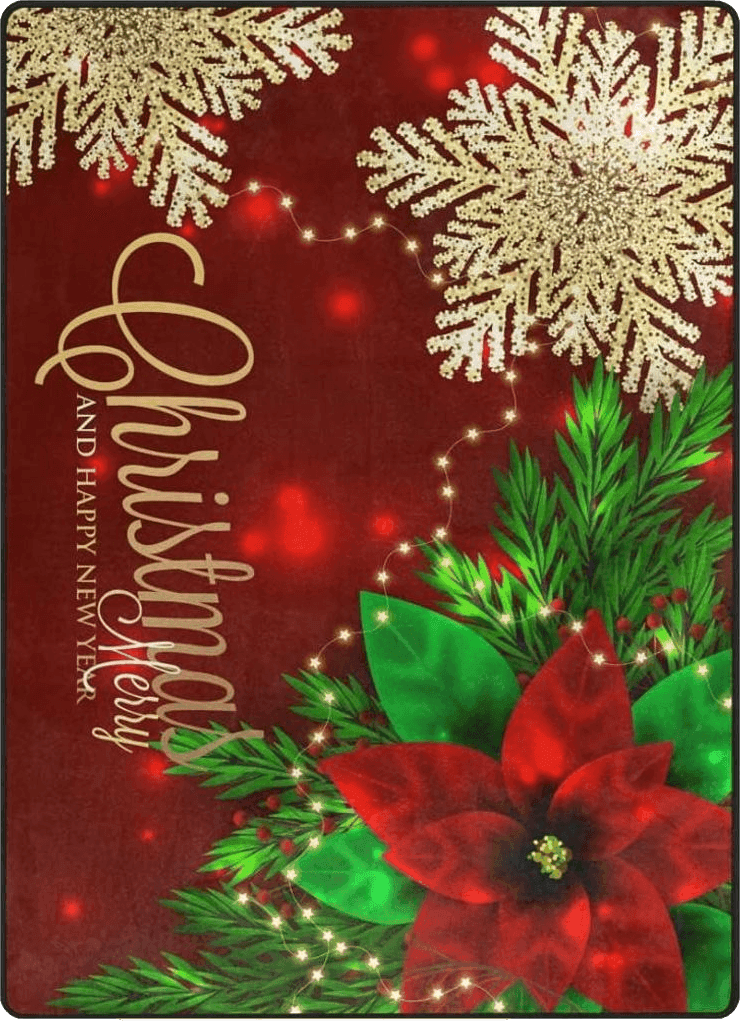 Christmas 5x8 ALAZA Christmas Area Rugs, Area Rugs 5x7 for Living Room Bedroom Home Decorative Christmas Poinsettia and Snowflakes (1)