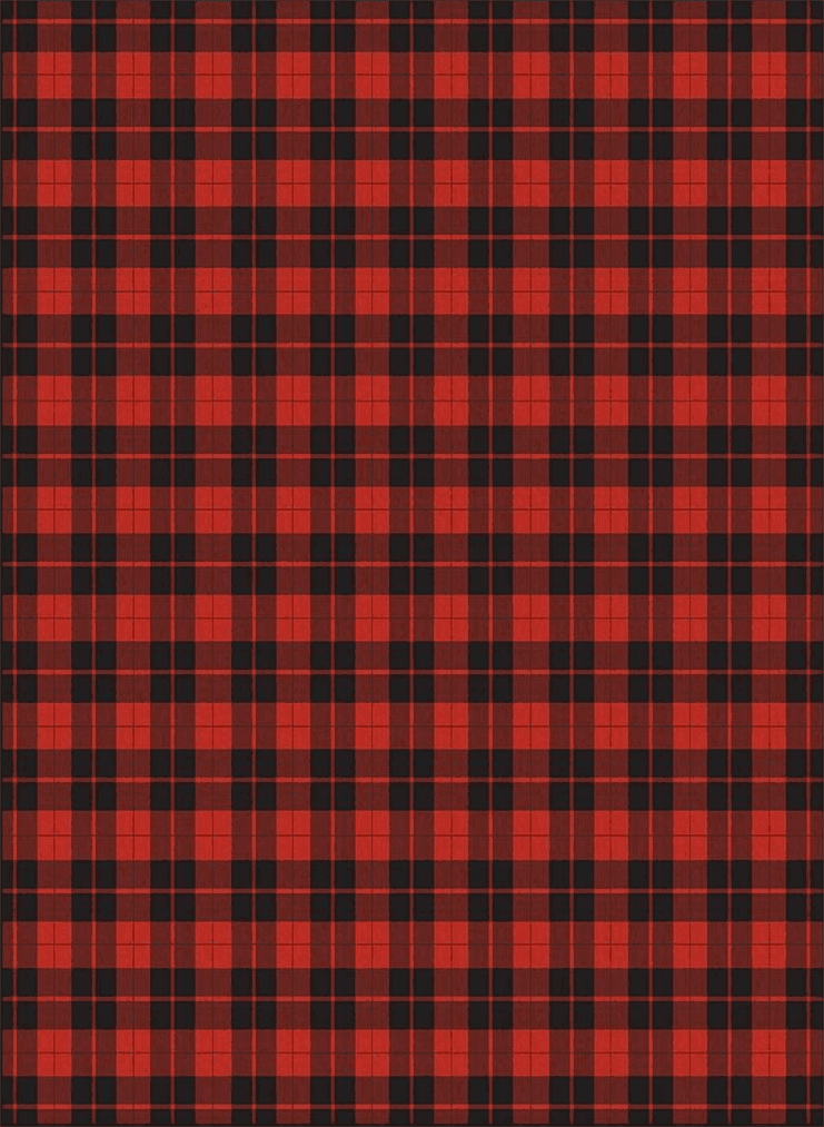 Area Rug 2x3 Feet, Christmas Red Buffalo Plaid Check Rug, Rugs for Living Room Decor Bedroom Decor Kids Room, Non-Slip Living Room Rugs, Comrft Carpet Washable Rug