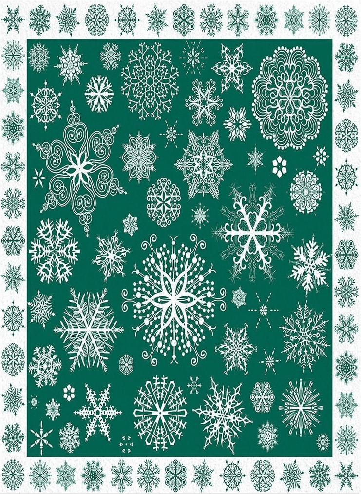 2' x 3' Christmas Green Area Rug,Outdoor Indoor Washable Carpet Area+Rug for Living Room,Kids/Boys/Girls Bedroom,Bathroom,Classroom,Kitchen,Hallway,Throw Floor Mat Winter Xmas Snowflake Floral Holiday