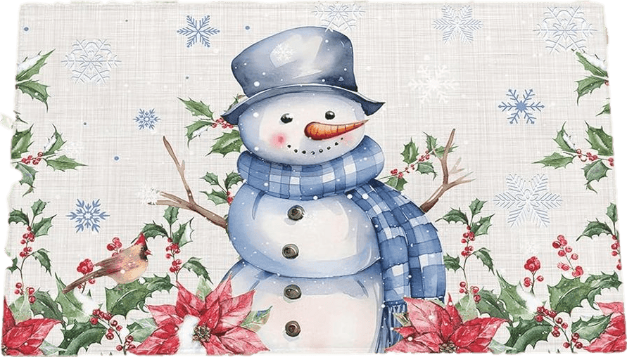 Shag Door Mats Bath Rugs Blue Christmas Snowman Poinsettia Cardinals,Soft Fluffy Doormats Non Slip Carpet Berry Snowflake Linen,Shaggy Fuzzy Area Throw Rug for Kitchen/Bathroom/Bedroom 16x24In