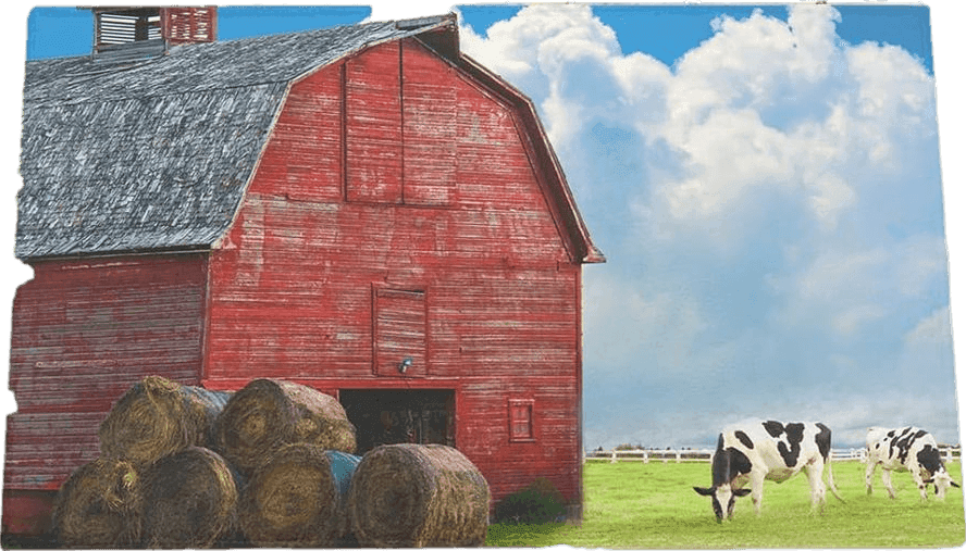 Fluffy Red Farm Red Barn with Cows Plush Shag Bath Rugs Black White Animals Soft Fluffy Floor Doormat Carpet,Non-Slip Door Mats for Living Room Bedroom Kitchen Entryway Blue Sky Landscape