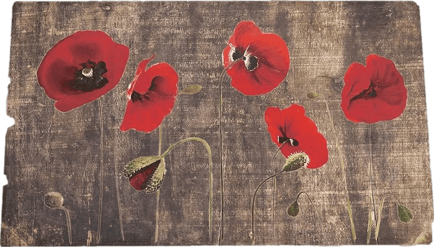 Fluffy Red Farm Red Poppy Plush Shag Bath Rugs Blossoms Floral Wild Plant Soft Fluffy Floor Doormat Carpet,Non-Slip Door Mats for Living Room Bedroom Kitchen Entryway Wood Grain