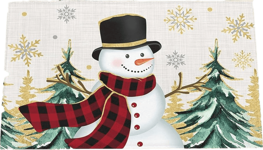 Fluffy Green Fluffy Bath Rug Xmas Snowman Green Christmas Tree,Non Slip Shag Carpet Soft Floor Door Mat Winter Gold Snow,Absorbent Entrance Rugs for Kitchen Bathroom Living Room 16x24in