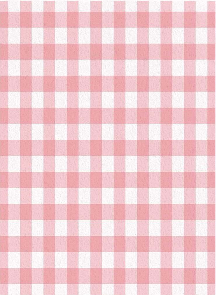 Checkered Pink Pink Buffalo Plaid Rug, Fluffy Pink Rug Plush Area Rug, Pink and White Rug, Checkered Rug Living Room Rugs, Area Rug for Kids Room&Bedroom Decor, Rugs for Living Room, Carpet 2'7"x5ft Rugs for Bedroom