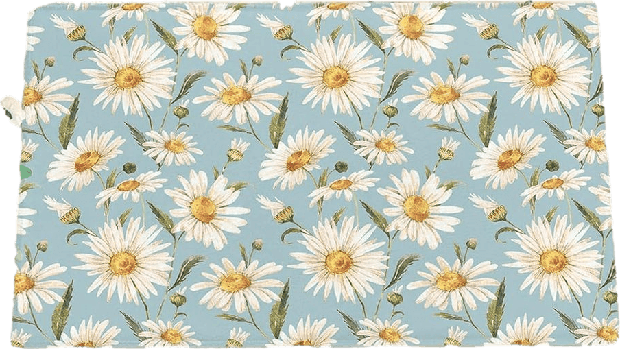 Fluffy Blue Farmhouse White Daisy Flower Plush Shag Bath Rugs Watercolor Blossoms Floral Plant Soft Fluffy Floor Doormat Carpet,Non-Slip Door Mats for Living Room Bedroom Kitchen Entryway Light Blue