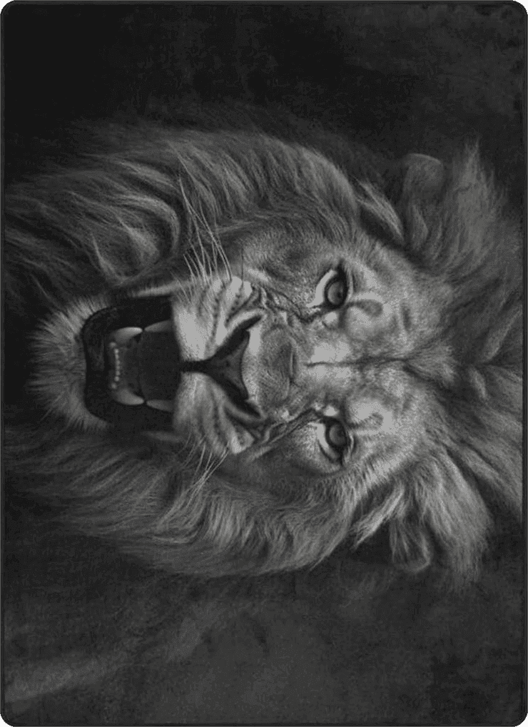 Fluffy 5x7 DNOVING Large Black and White Lion Area Rug 5x7ft Non Slip, Rubber Backed Perfect for Living Room, Bedroom, Office, Dining Room Timeless and Classic Decor Indoor Fluffy Area Rug