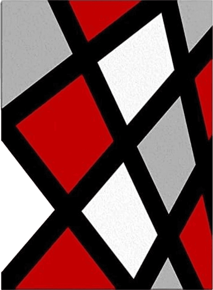 Fluffy Red Red and White Black Geometry Area Rugs, Modern Abstract Entryways Mat Fluffy Soft Machine Washable Breathable Durable for Room Living Room Indoor Outdoor Hallway, 5ft x 7ft