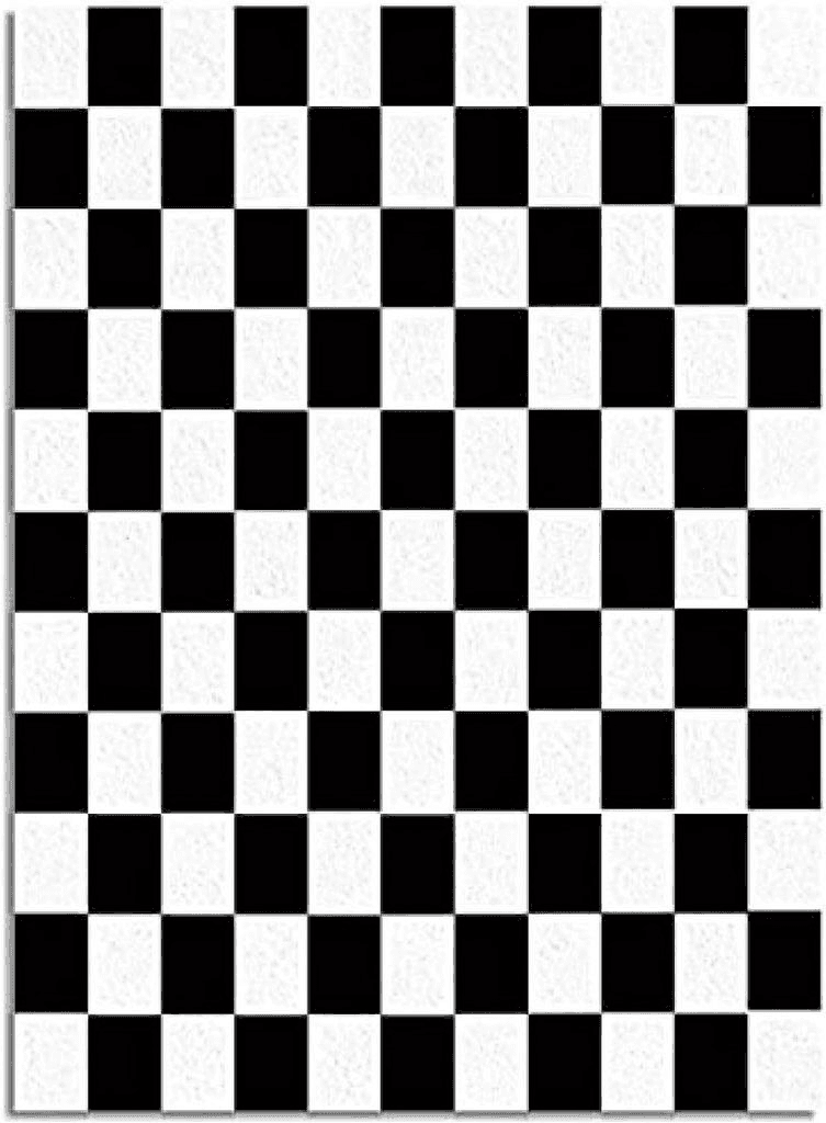 Fluffy Black White Black White Grid Living Room Rug, Checkered Flag Racing Area Rug, Fluffy Soft Machine Washable Breathable Durable for Hotel Yoga Patio Bedroom Office Study 2ftx3ft