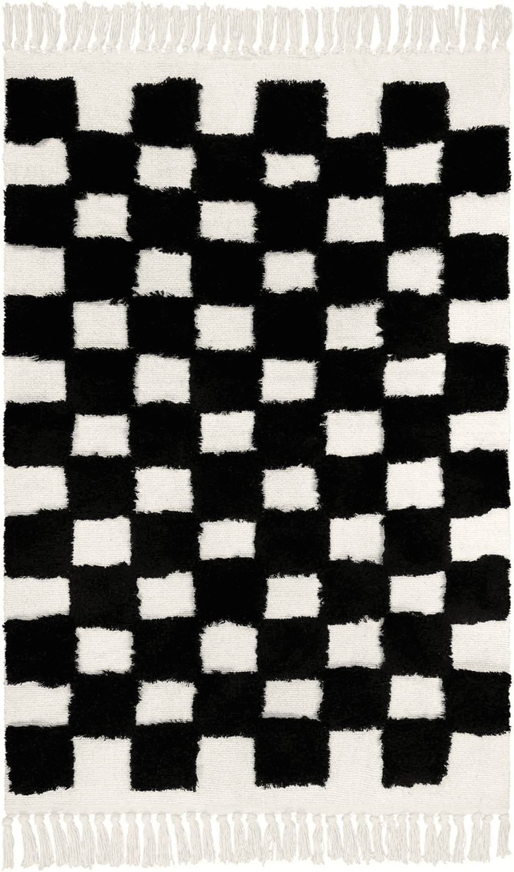 Lahome Checkered Boho Rug for Bedroom, 4x6 Living Room Rug Washable Black and White Area Rug with Tassels, Farmhouse Office Dorm Rug Throw Rugs for Entryways Nursery Decor