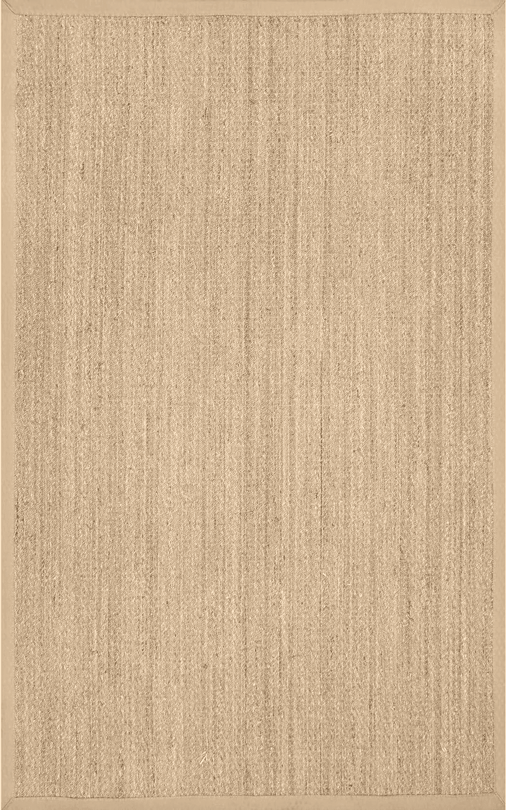 NuLOOM Elijah Farmhouse Seagrass Area Rug, 2' 6" x 4', Beige