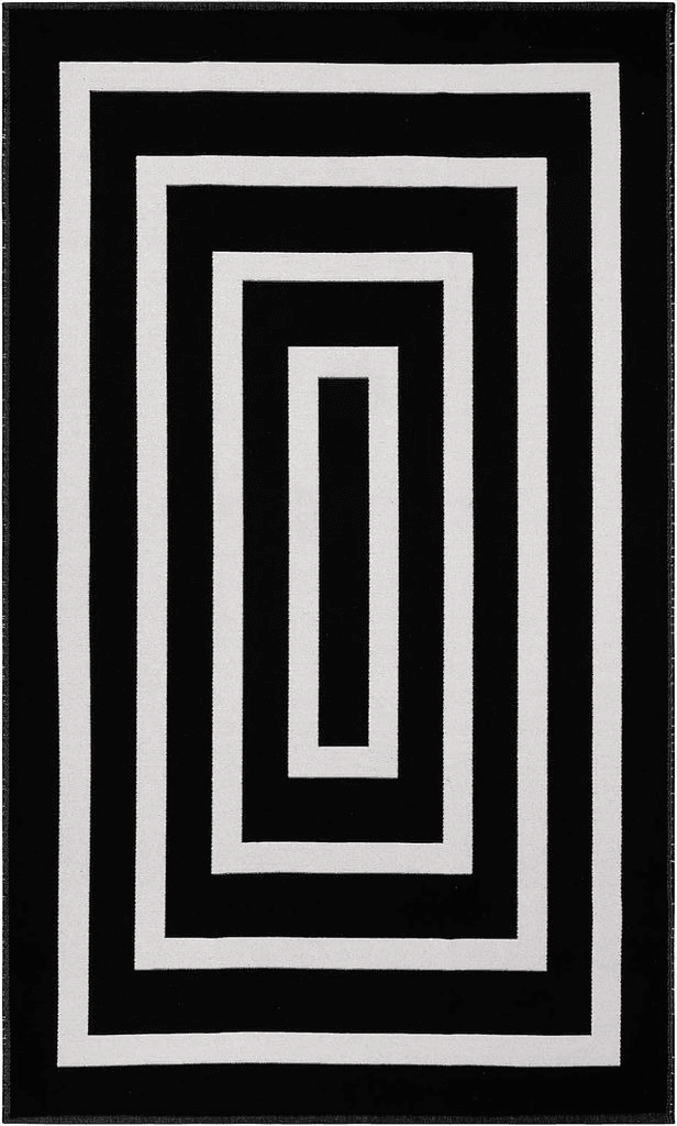 Lanffia Black and White Area Rug 3x5, Washable Indoor Outdoor Rug Contrasting Geometric Modern Stripe Symmetrical Living Room Carpet Front Porch Rug Welcome Doormat for Balcony/Living Room/Kitchen