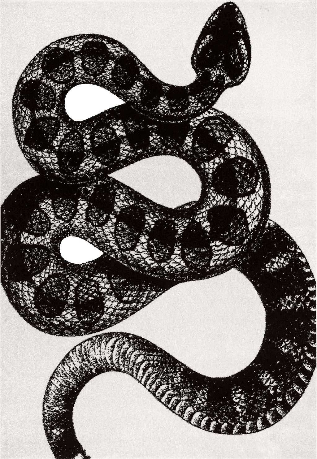 Snake rugs nuLOOM Thomas Paul Serpent Area Rug, 4x6, Black and White