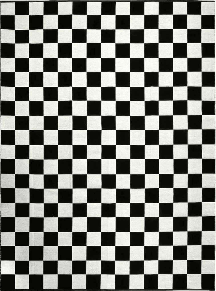 Seavish Checkered Rug, 5x6.5 Ft Black and White Outdoor Rug Moroccan Checkerboard Mat Washable Runner Rug Cotton Woven for Hallway Front Door Bedroom Entryway Kitchen Floor Reversible Area Rugs