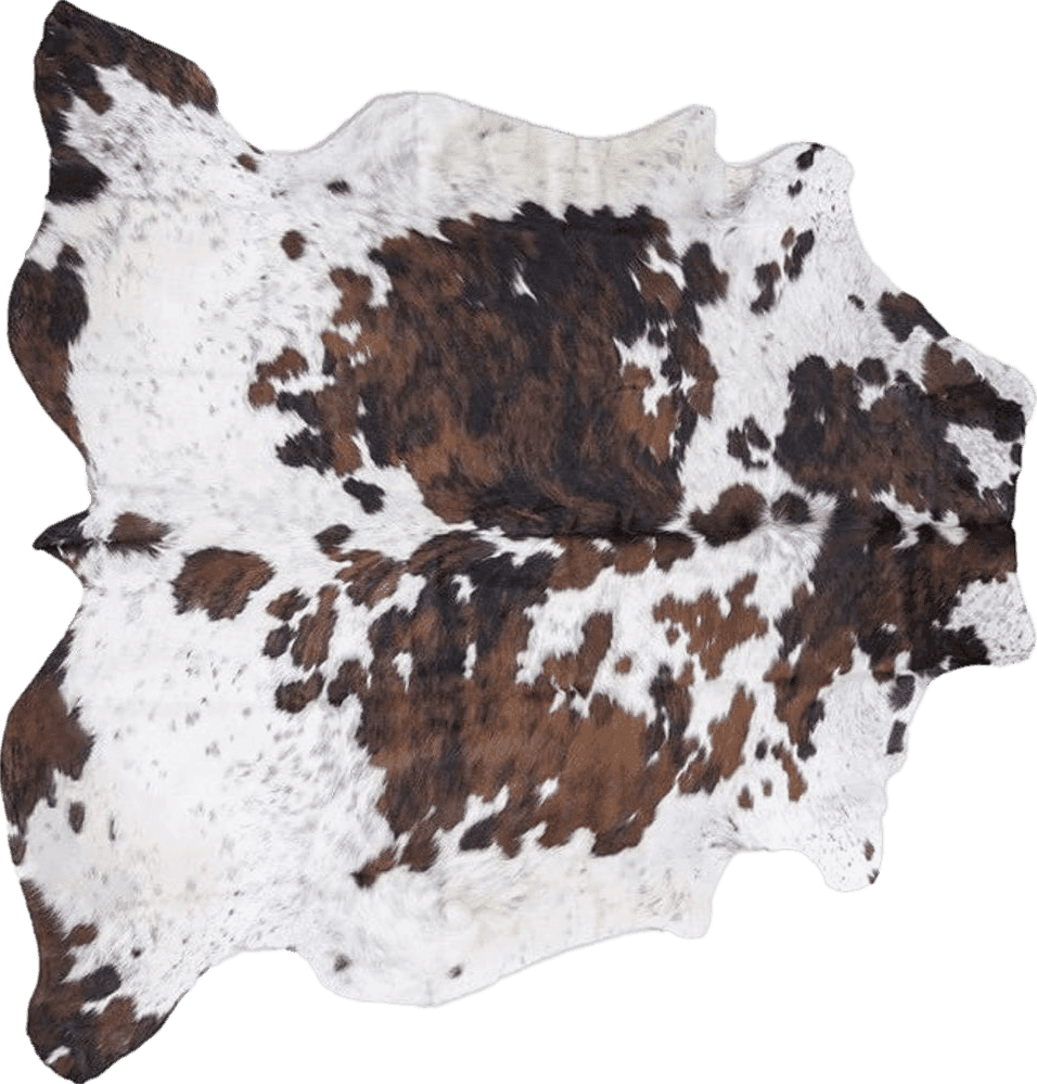 rodeo Genuine Cowhide Rug: Hand-Picked & Authentic Real Cowhide Rug for Western Home Decor - Texas Rug Extra Large - Rustic Rug, Cow Hide Carpet Rugs TR68 Size Approx 6x8 ft (180x240 cm)