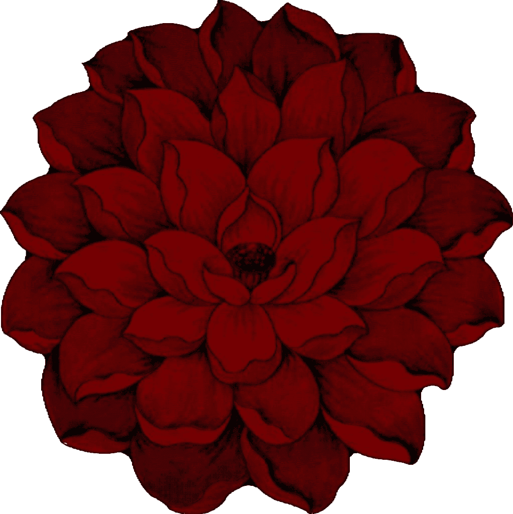 PLANET RUGS Flowers 3D Effect Hand Carved Thick Artistic Floral Flower Rose Botanical Shape Area Rug Design 301 Red 2'7''x 2'7'' Round