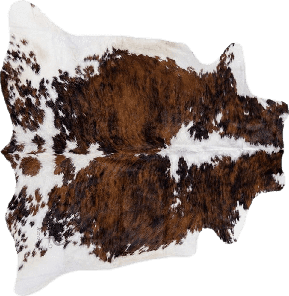 rodeo Genuine Cowhide Rug Large Real Cow Hide Western decortion Cow Rug for Bedroom Living Room Natrual Cow Print Rug for Western Wall Decor Texas Rug 5x7 Feet(150cmx 210cm) TC5X7