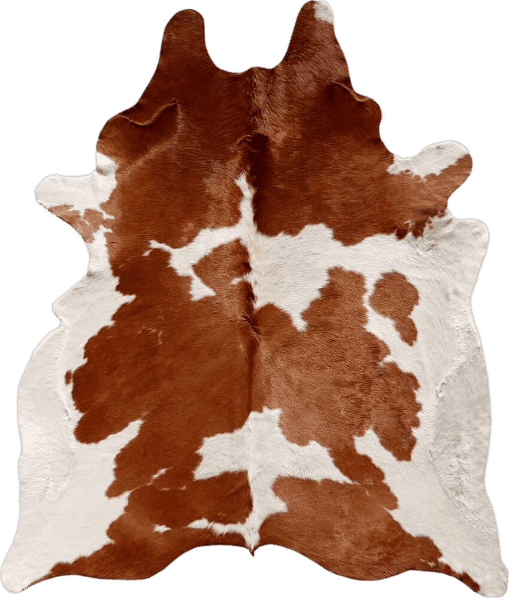 Cowhide 5x7 Brown and White Cowhide Rug Natural Cow Skin Cow Hide Leather Area Rug Hair On, 5 ft X 6 ft Premium Brown White Large