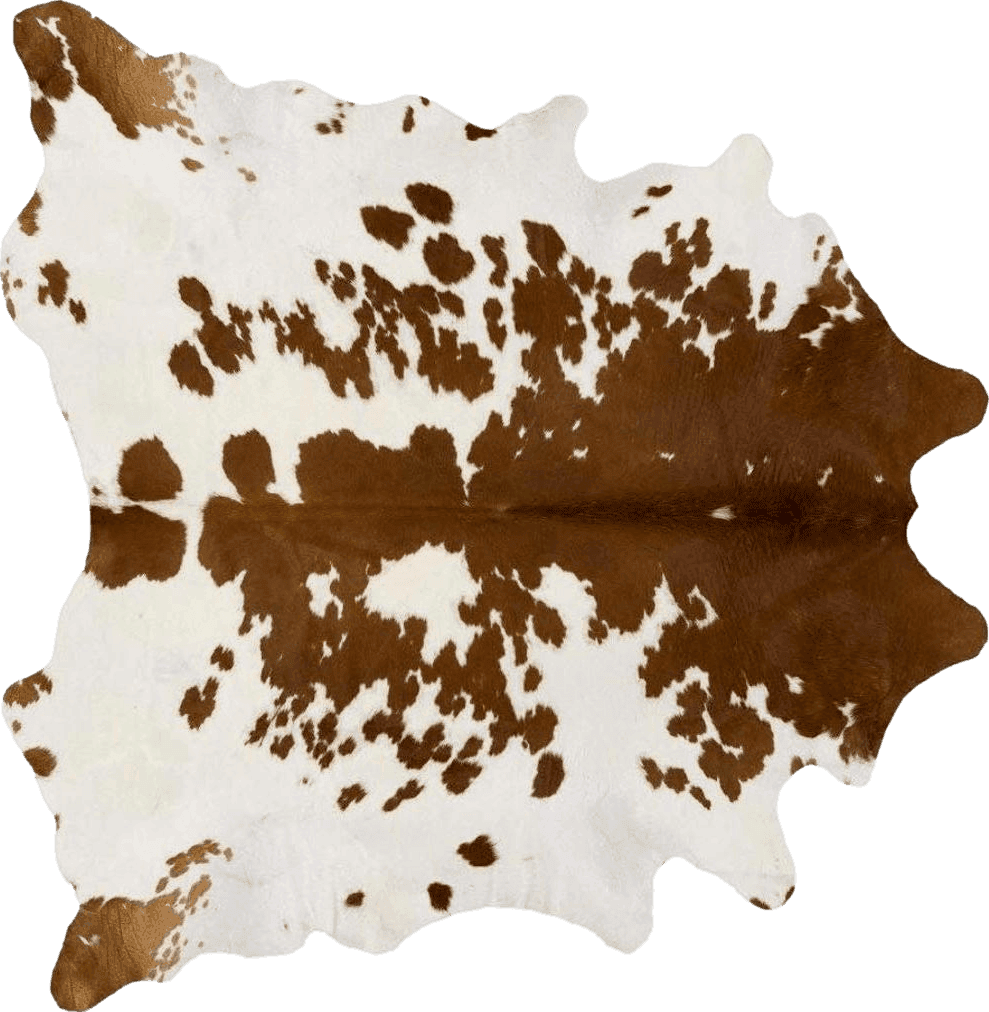 Cowhide 5x7 Brown and White Cowhide Rug Natural Cow Skin Cow Hide Leather Area Rug Hair On, 5 ft X 6 ft Premium Brown White Large