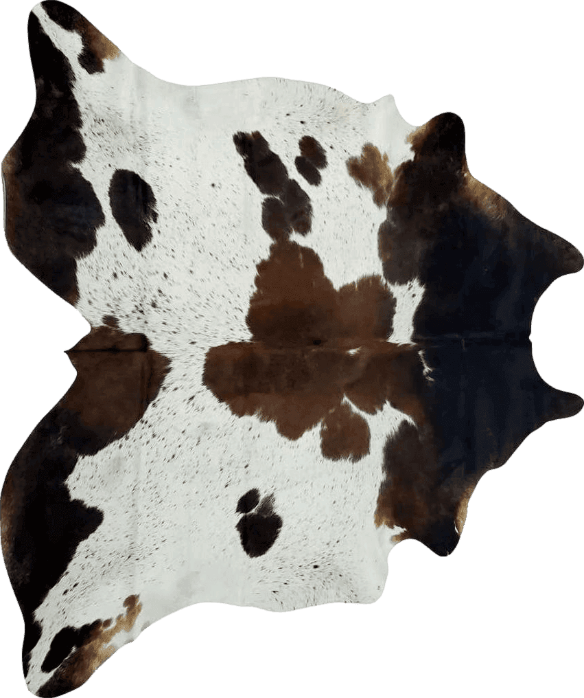 Cowhide 3x5 ARTISTIC DECOR Pure Brown Tricolor Cowhide Rug Black Brown and White Luxurious Cow Skin Tri Color (Small 5 x 3ft)