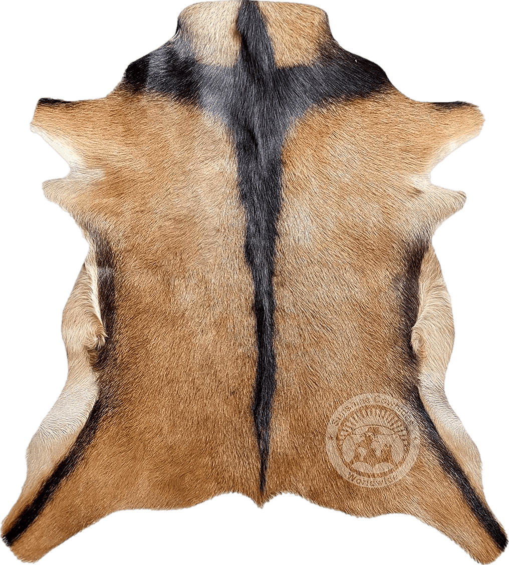 Sunshine Cowhides Genuine Goatskin Rug Goat Skin Goat Hide Goat Skin Rug Exotic 2 x 3 ft.