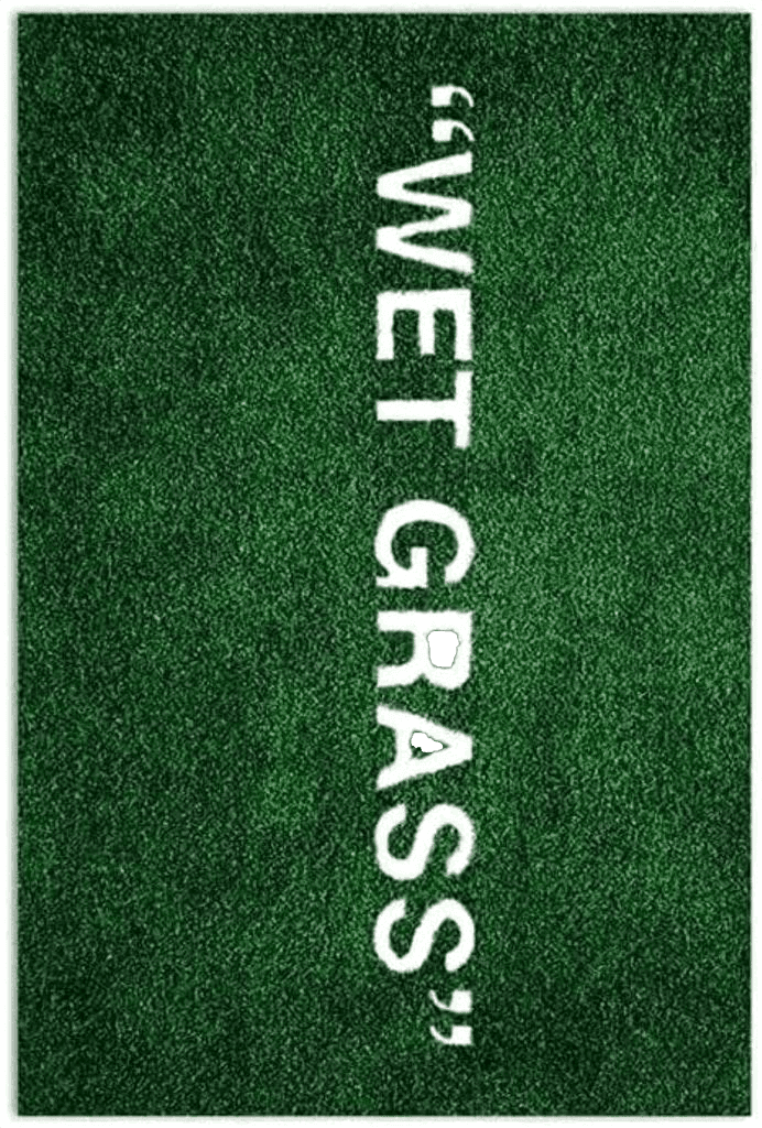 Wet Grass Add a Pop of Green to Your Home with Our Soft & Non-Slip Wet Grass Rug - Perfect for Bedroom, Bathroom, and More! (24x35in)