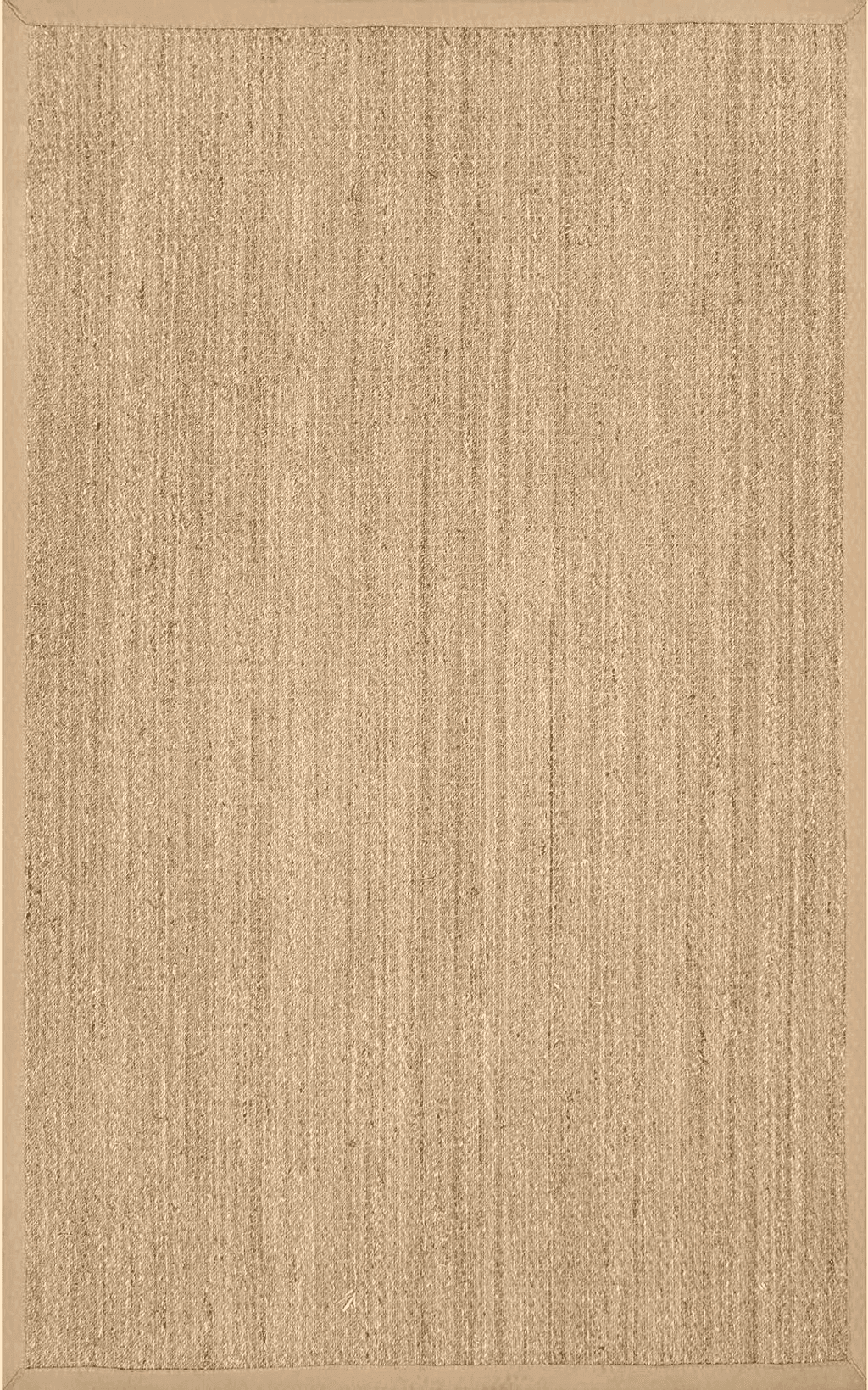 Sisal NuLOOM Elijah Farmhouse Seagrass Area Rug, 4' x 6', Beige