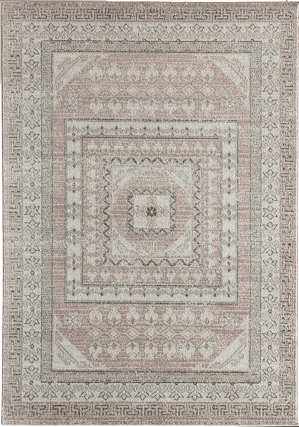 Rugs America Harper HY40A Carnation Transitional Vintage Area Rug, 5'x7'