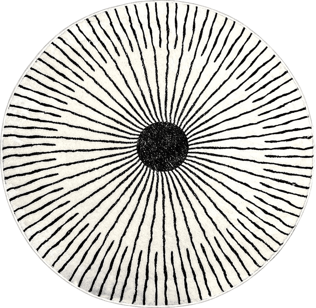 Area White All Rounds/Square Round Rug 3.3ft, Large Non Slip Super Soft Plush Area Rug for Kids Room Playroom Living Room Bedroom, Modern Black and White Striped Floor Mat Carpet for Home Room Decorative (Light)