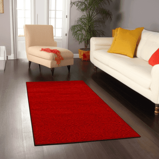 Red Rug 8x10