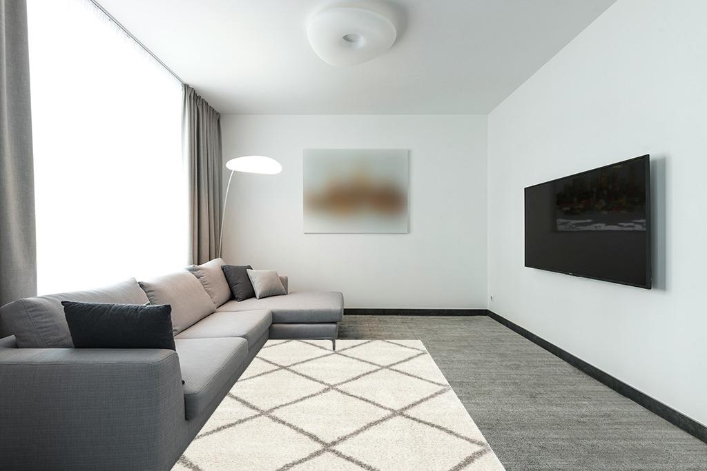 Rug Ideas - Browse Looks & See in Your Own Space Virtually
