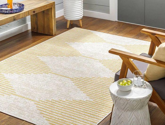 2x3 Area Rugs - See In Your Room