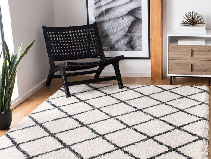Black and White Area Rugs - See in Your Room Before You Buy